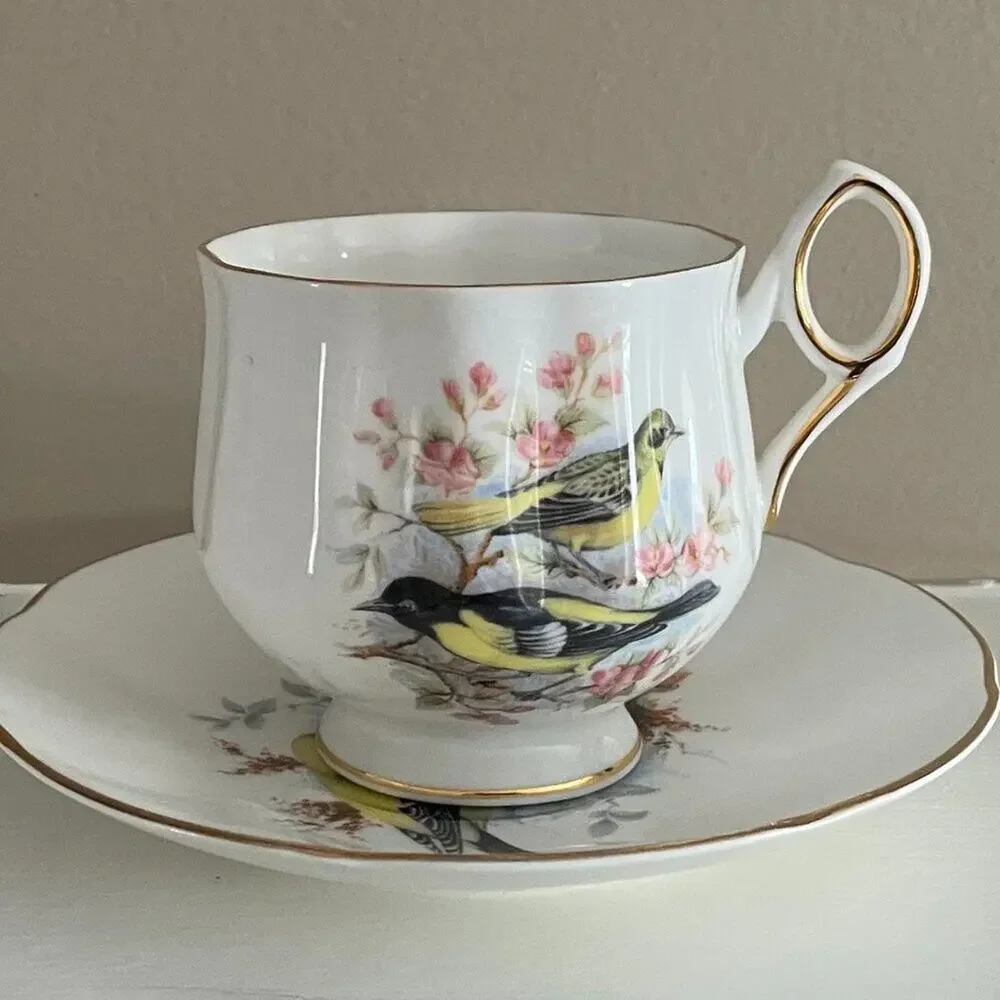 VTG Royal Dover Bone China, England, Teacup & Saucer, Yellow Birds, Pink, Floral